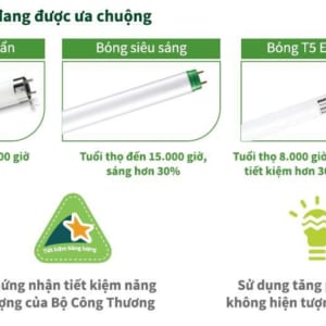 Bóng huỳnh quang T8