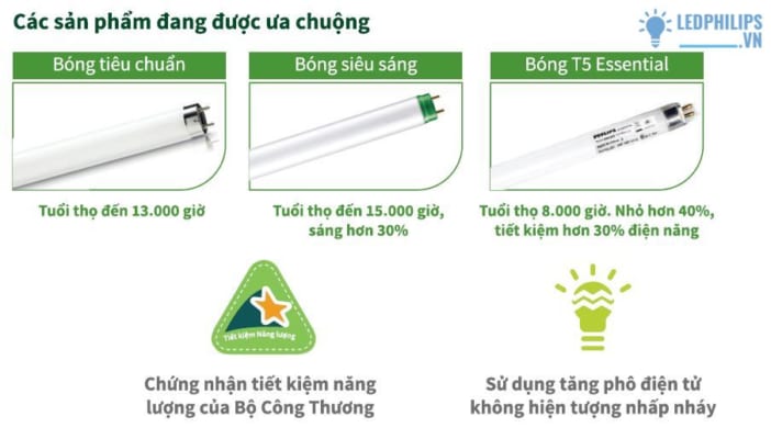 Bóng huỳnh quang T8